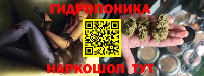 PSILOCYBIN Обь
