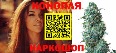 PSILOCYBIN Обь