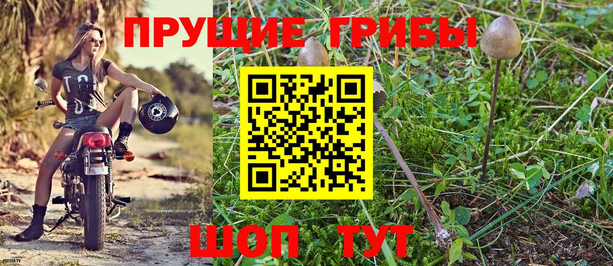 Химки  Псилоцибиновые грибы MAGIC MUSHROOMS  Псилоцибиновые грибы Cubensis  Вход с VPN 