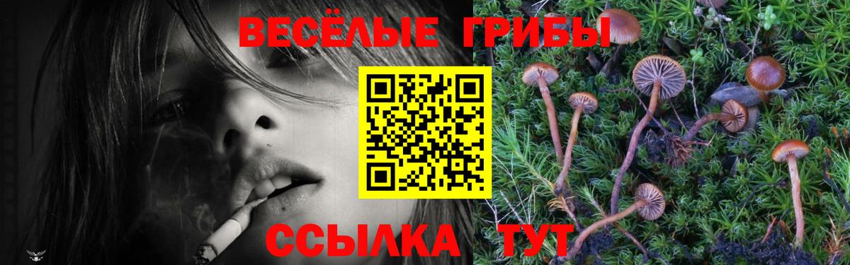 Псилоцибиновые грибы мицелий Химки